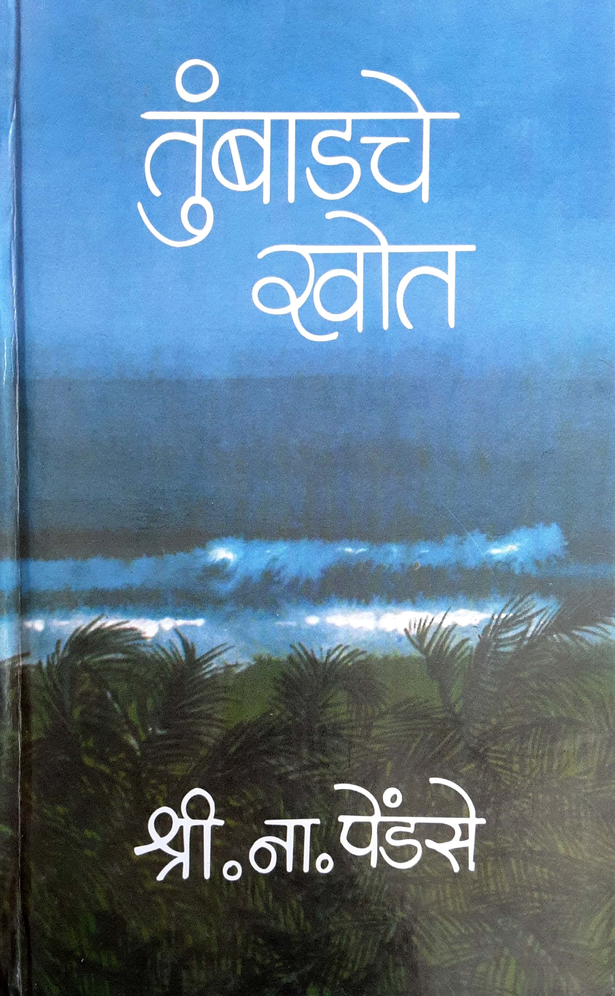 Tumbadche khot - Khand Pahila ( तुंबाडचे खोत - खंड पहिला )
